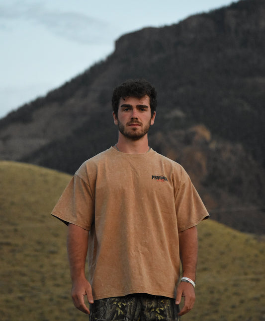 Not Ashamed Oversized Vintage Washed Unisex Tee